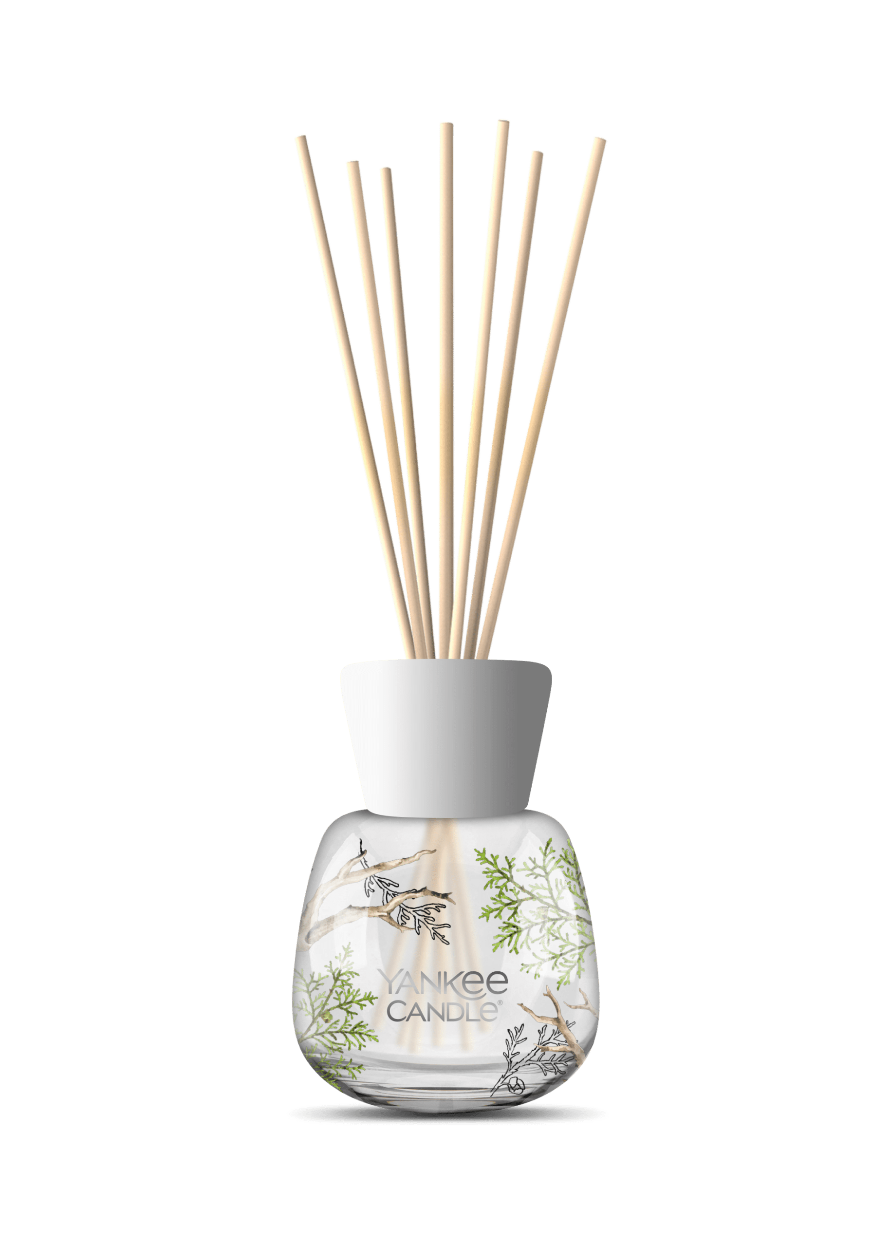 Yankee Candle Bayside Cedar Signature Reed Diffuser 100 ml mit frischem Zedernholzduft