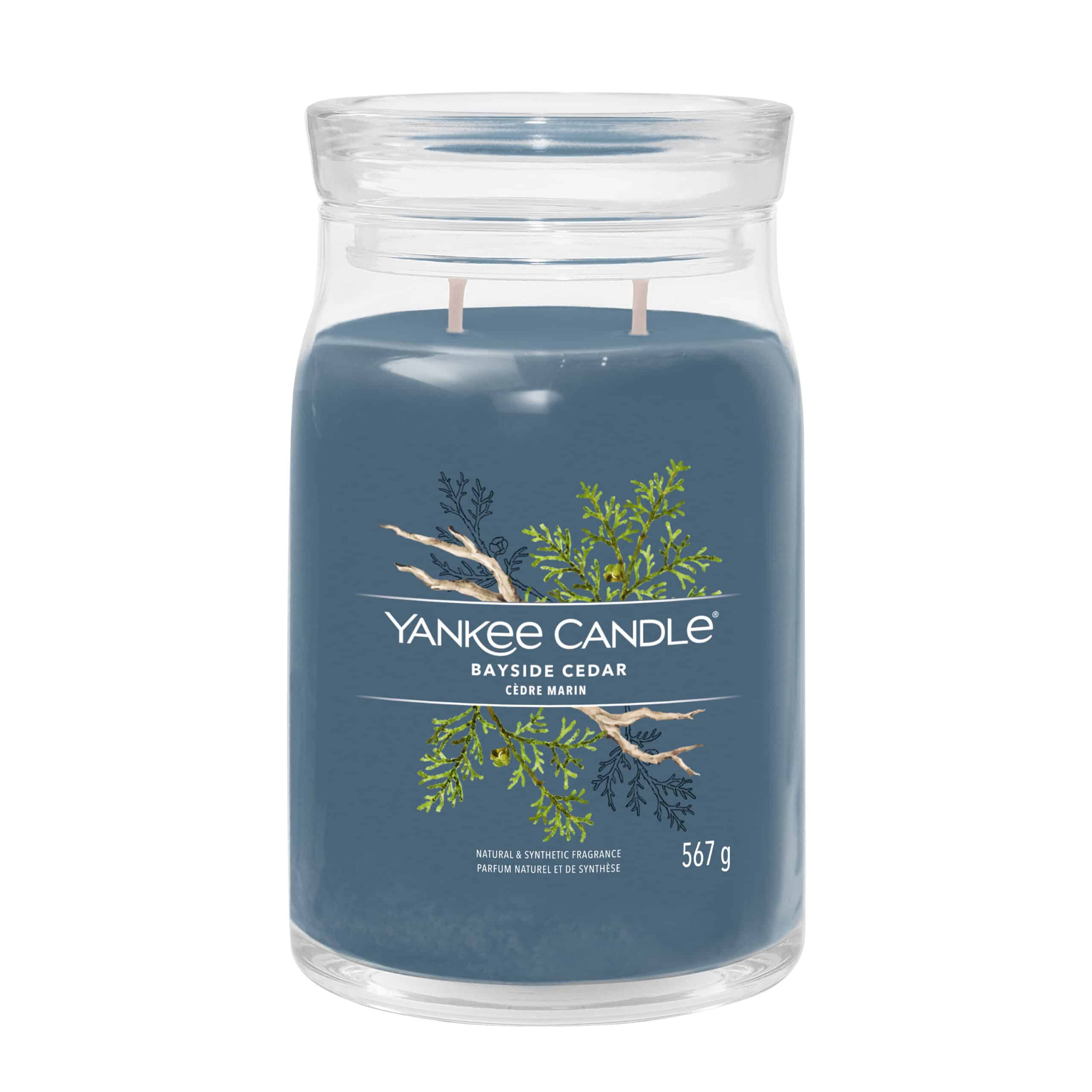 Yankee Candle Bayside Cedar Signature Duftkerze im großen Glas mit frischem Zedernholzduft
