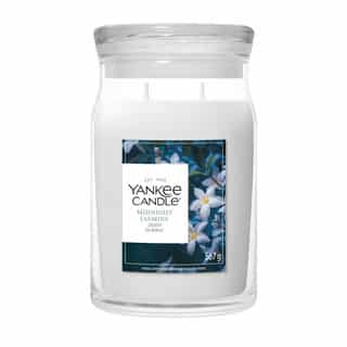 Yankee Candle Midnight Jasmine Signature Large Jar mit Jasminblüten auf dem Etikett